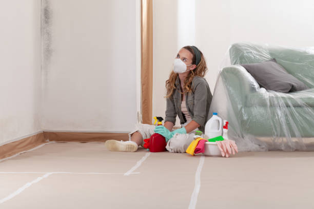 Reliable Mold Removal contractor in Salem, IL by WQB Mold Removal